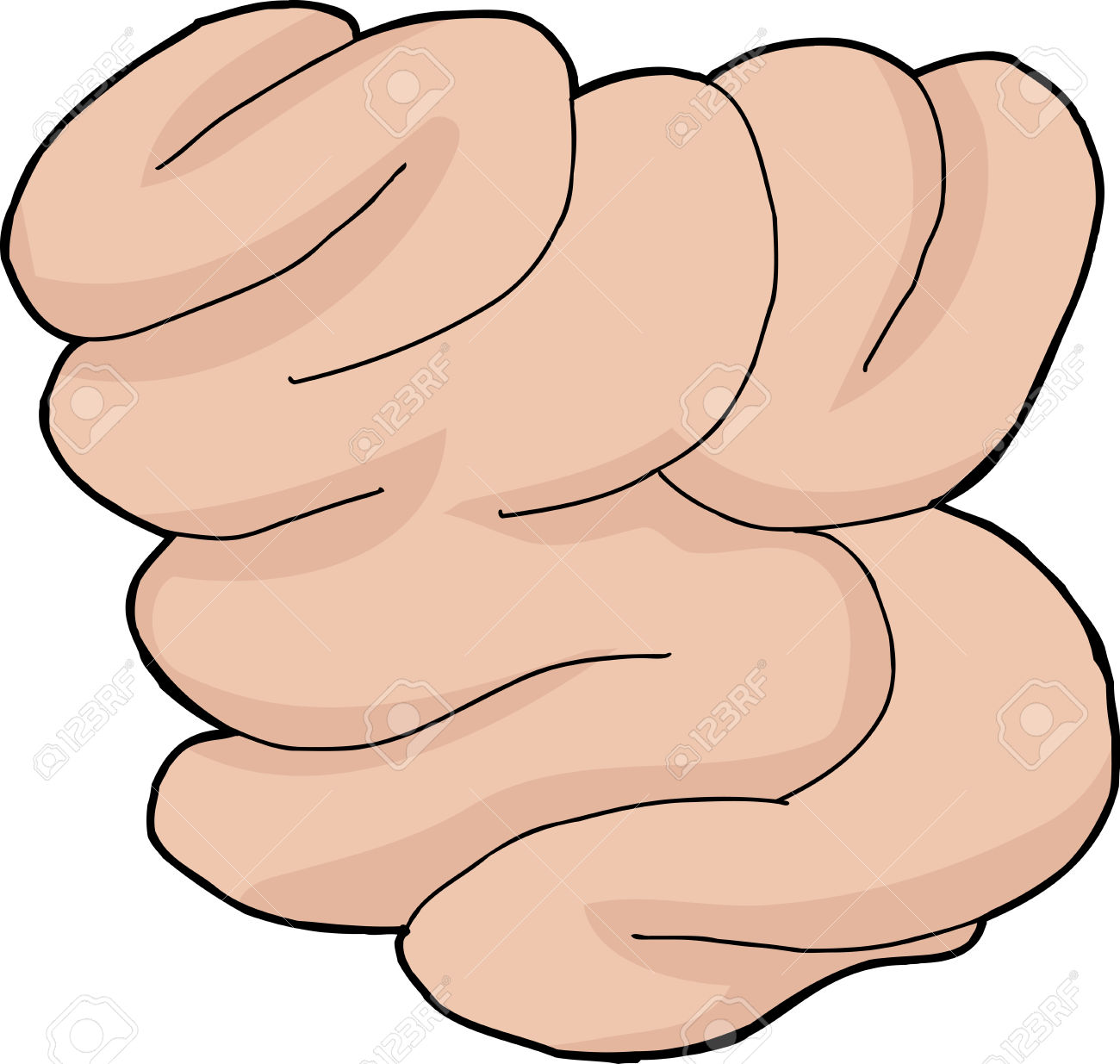 Isolated hand drawn human small intestine cartoon Stock Vector - 32186851