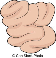 ... Isolated Small Intestine - Isolated hand drawn human small.