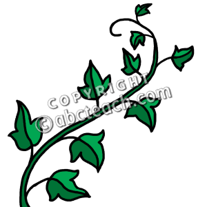 Ivy Clipart