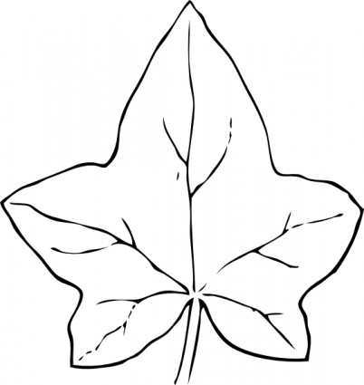 Ivy Leaf Clip Art Free Vector In Open Office Drawing Svg Svg