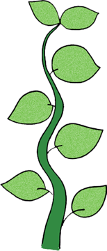 ... Jack And The Beanstalk Cl - Beanstalk Clipart