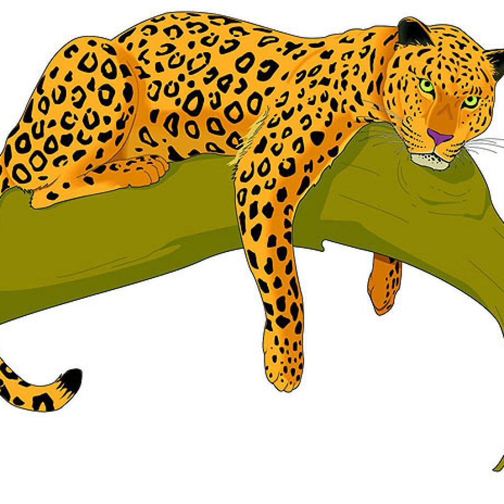 jaguar clipart free jaguar clipart pictures clipartlook clipart free download