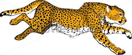 Running cheetah Royalty Free 
