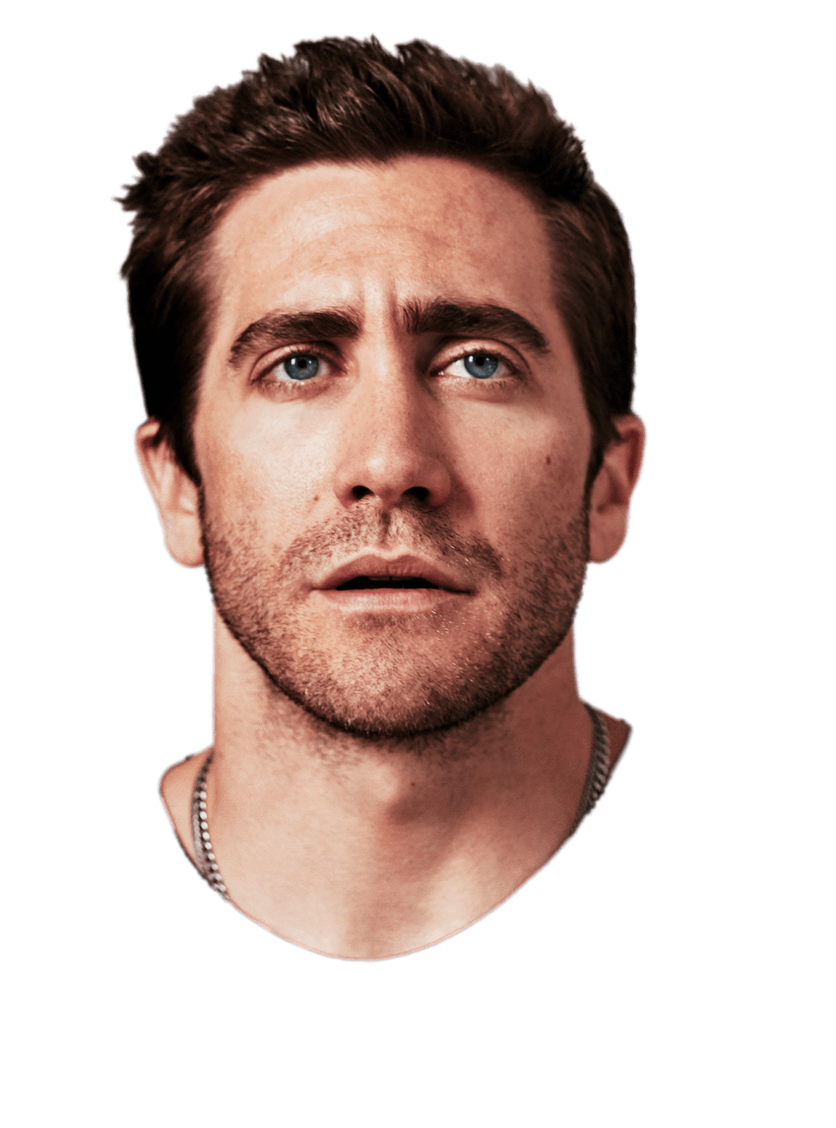 Jake Gyllenhaal Scruff Image