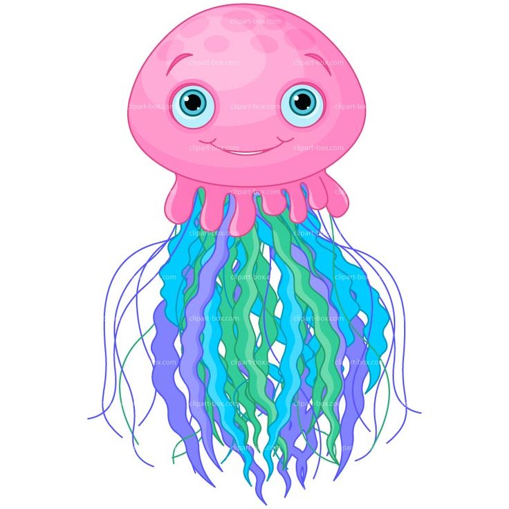 Jellyfish Silhouette