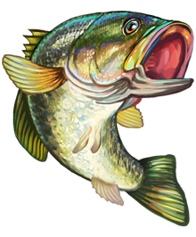 Clip art fish bass fishing .
