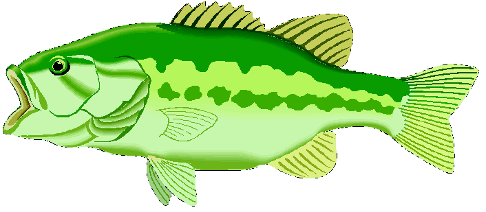 Jumping Bass Fish Clip Art Free Clipart Images