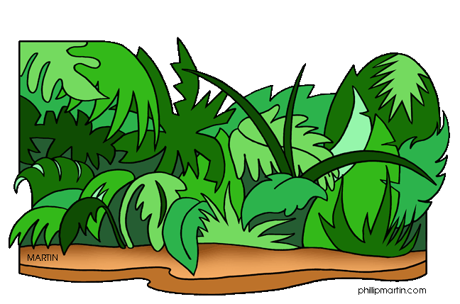 Jungle Background; Jungle Sce