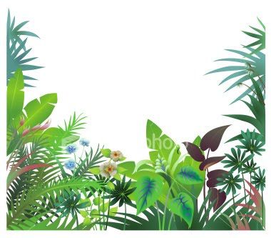 Jungle Trees Clip Art | Tropical Rainforest Cartoon Border Pictures