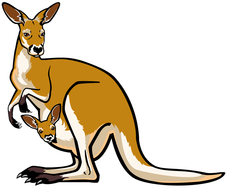 Kangaroo Clip Art - Clipart Kangaroo
