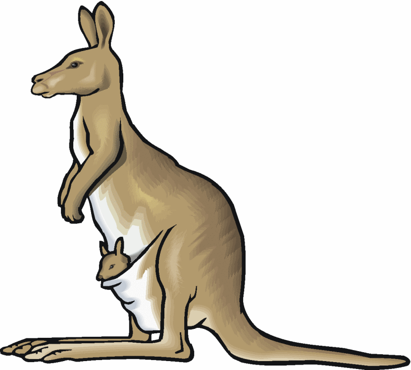 Kangaroo Clip Art Free Downlo - Kangaroo Clipart