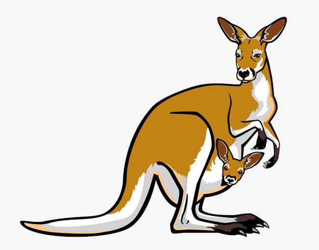 cartoon kangaroo mother, Cartoon Clipart, Kangaroo Clipart, Cartoon Kangaroo  PNG Image and Clipart