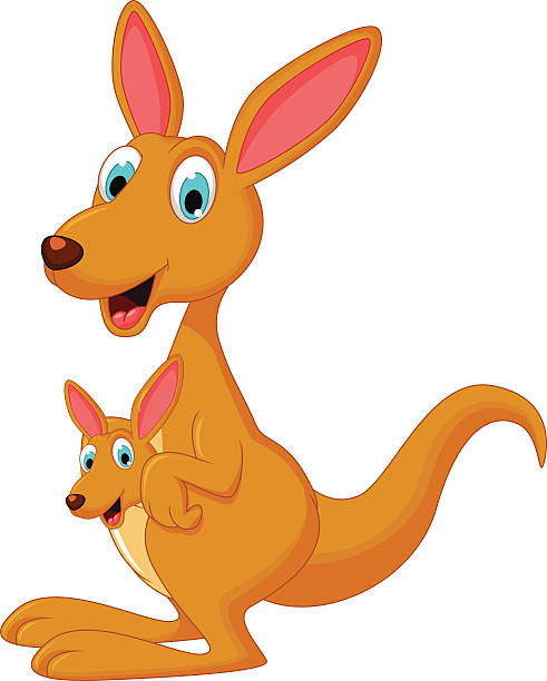 cute kangaroo clipart Clipart Station