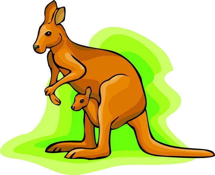 Kangaroo Clipart - Kangaroo Clipart
