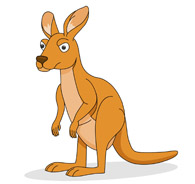 Baby kangaroo clipart