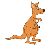 kangaroo with joey in her pou - Kangaroo Clip Art