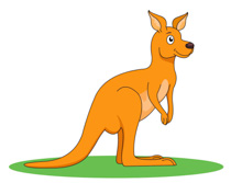 Kangaroo With Joey In Pouch Clipart Size: 57 Kb