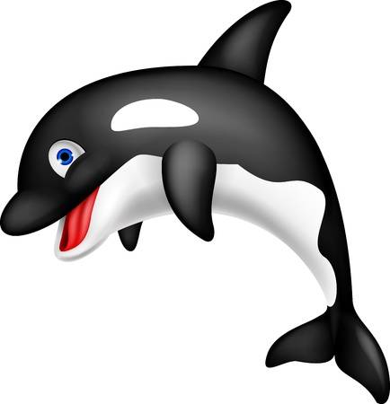 Funny orca cartoon Illustration