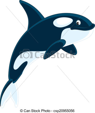 Killer whale - csp20955056