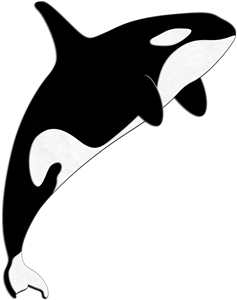Funny orca cartoon Illustrati