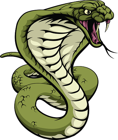 King Cobra Snake vector art . - Viper Clipart