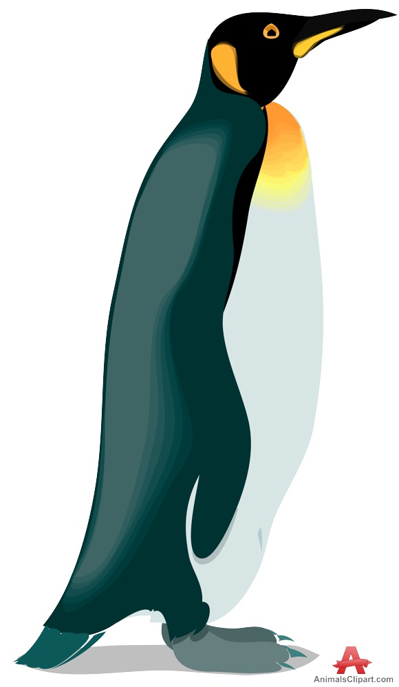 King penguin clipart free clipart design download