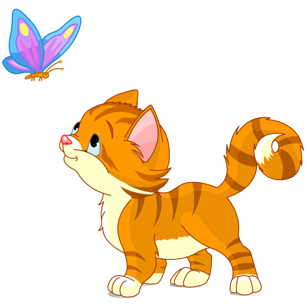Butterfly Kitten