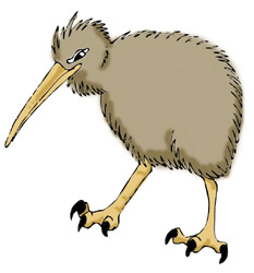 Kiwi Bird Clipart - Kiwi Bird