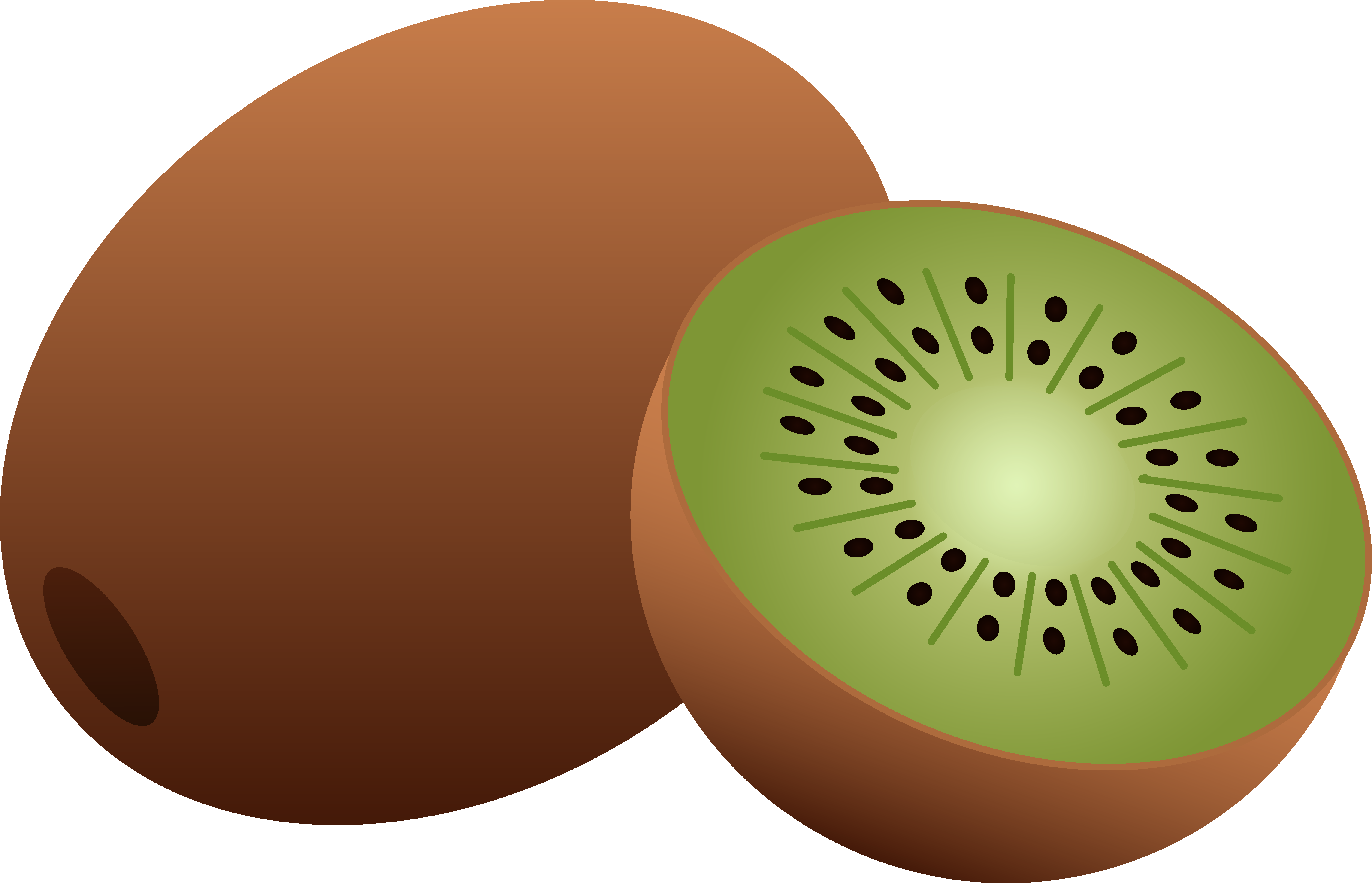 Kiwi Clipart Image Kiwi Fruit