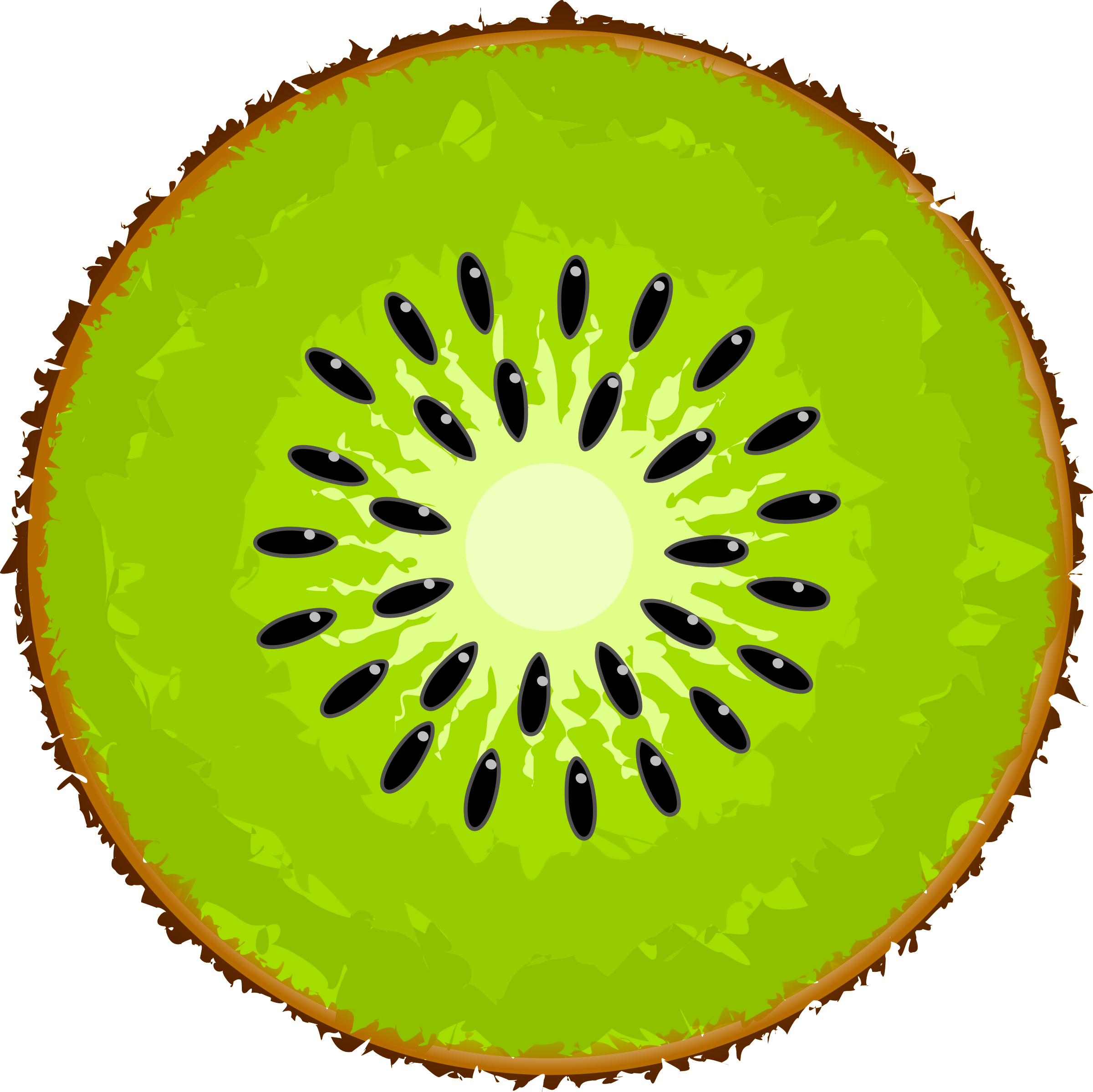 Kiwi Clipart Image Kiwi Fruit. Kiwi Slice PNG Image