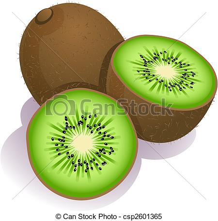 kiwi - Vector illustration - ripe kiwi