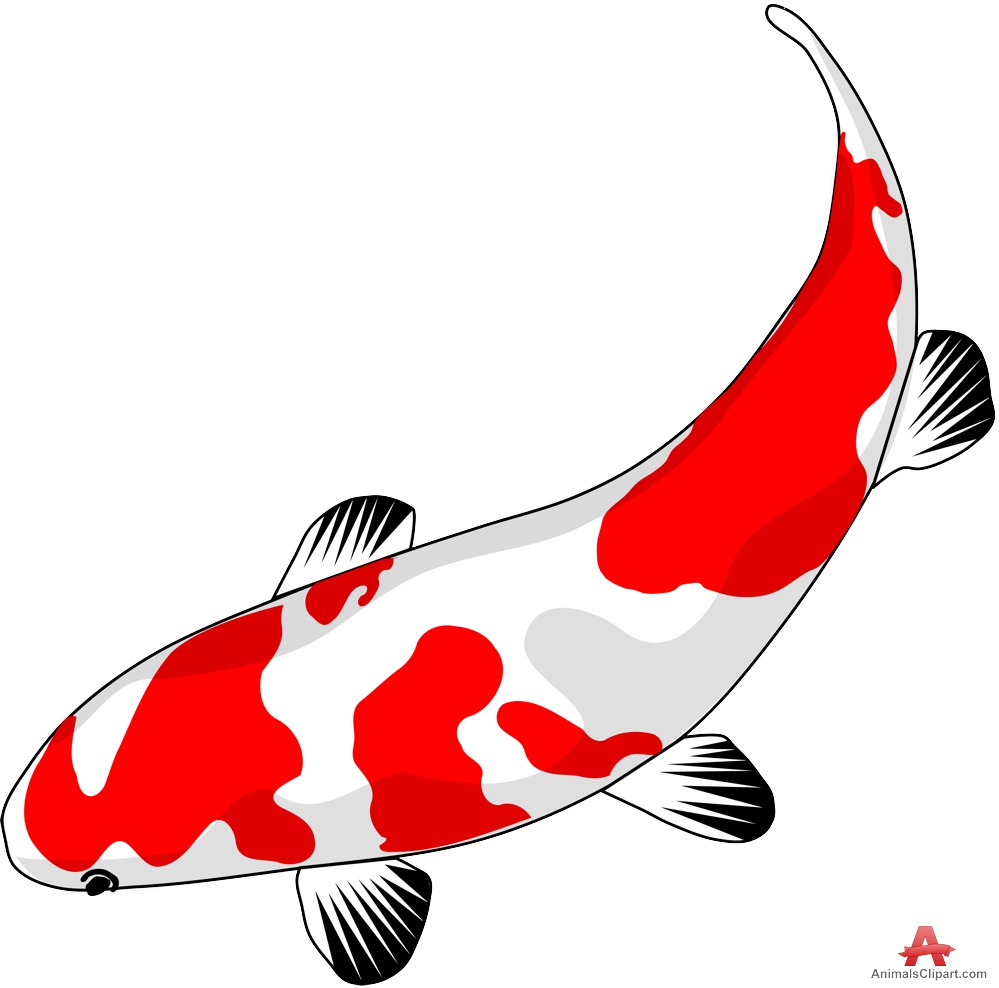 Koi fish clip art - ClipartFest