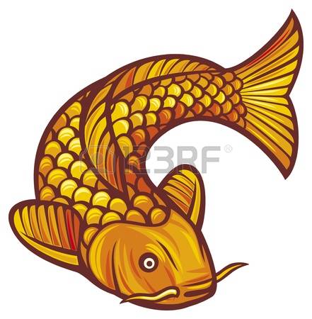 koi fish: koi fish vector illustration of a japanese or chinese inspired koi carp fish
