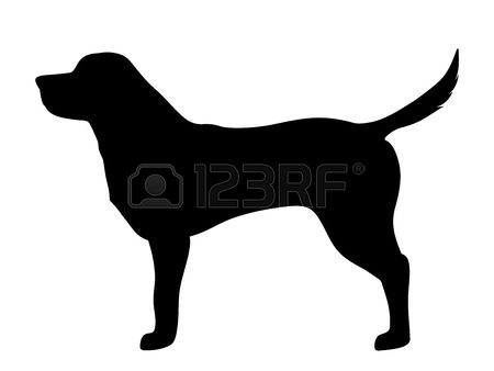 labrador retriever: Vector black silhouette of a labrador retriever dog isolated on a white background