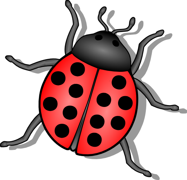 Lady Bug Clip Art At Clker Co - Insect Clipart