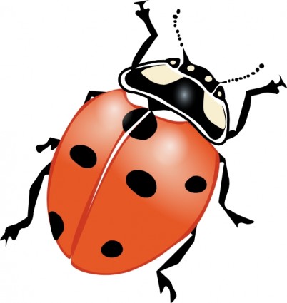 Lady bug clip art free free . - Clip Art Bug