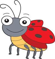 lady bug insect. Size: 68 Kb