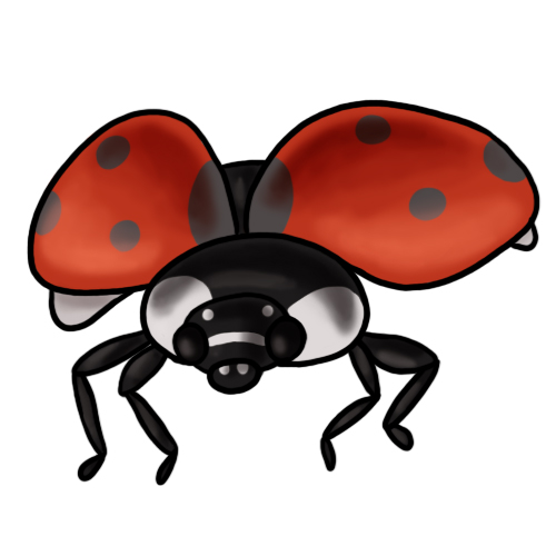 Ladybug Clip Art 11 ...
