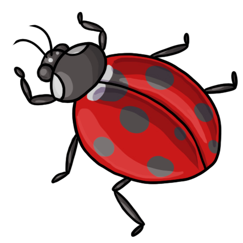 Ladybug Clip Art 19, Ladybug  - Clipart Ladybug