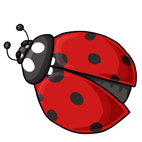 Lady bug, Pink lady and Clip 