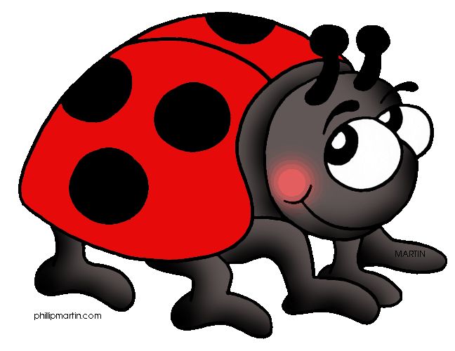 Ladybug - Clipart Ladybug