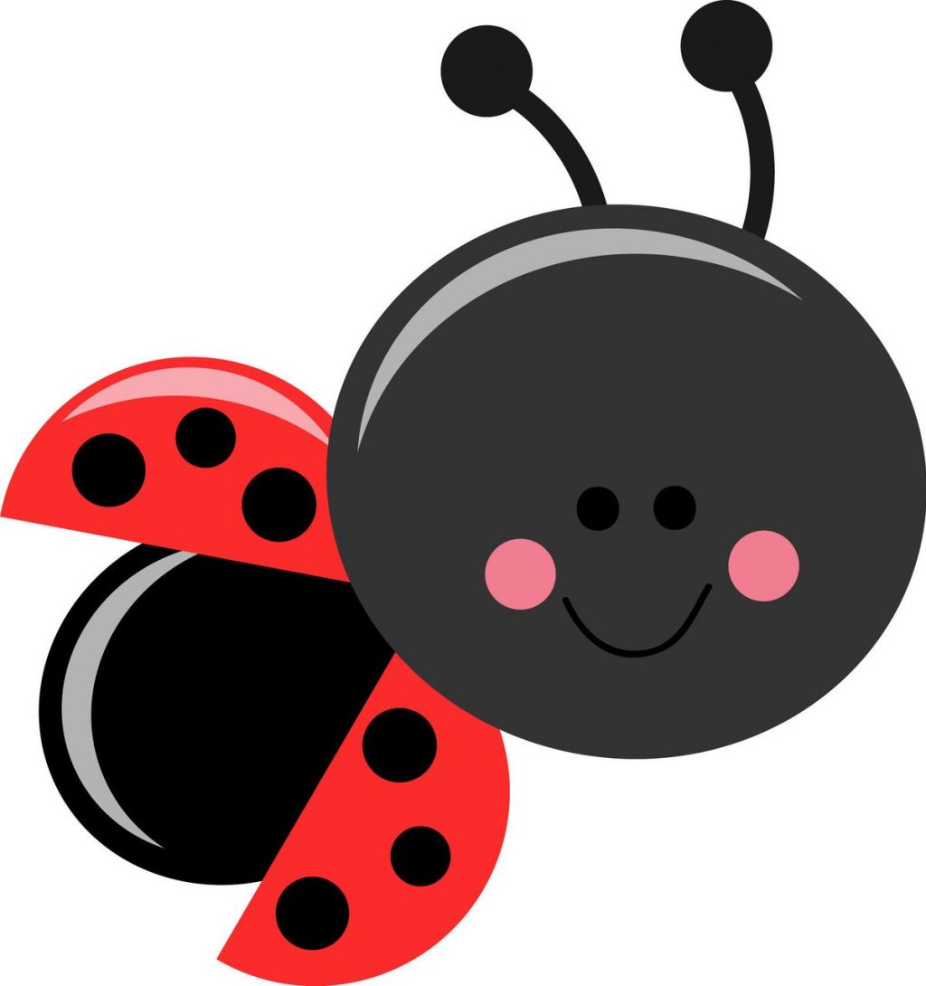 Ladybug - Classic red and bla