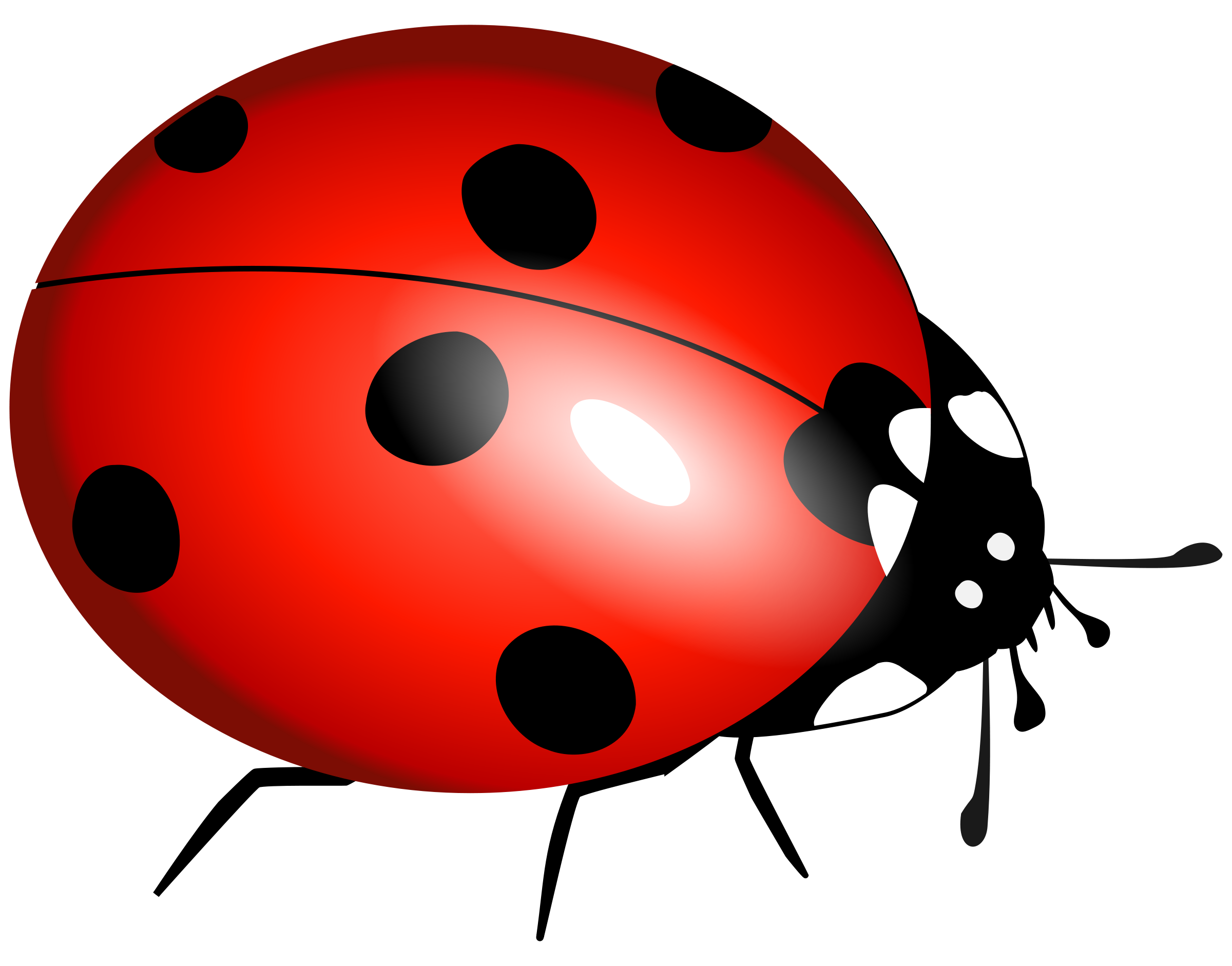 ladybug PNG image - Lady Bug Clipart