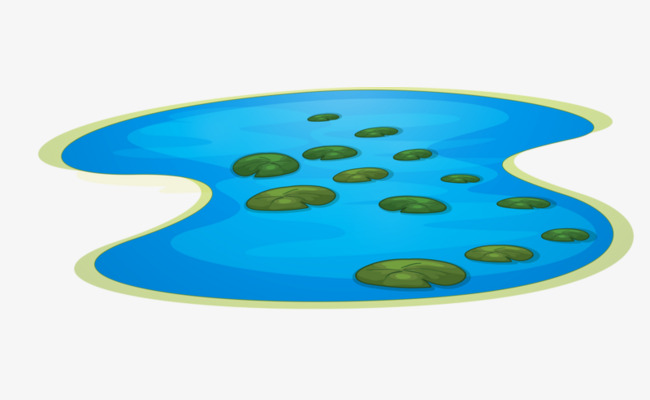 a lake, Lotus, A Clipart, Lake Clipart PNG Image and Clipart