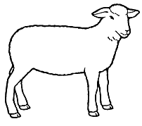 Lamb high quality clip art pa