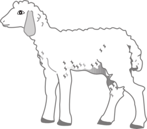 Little lamb clipart clipart k