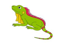 large green iguana lizard cli - Iguana Clip Art