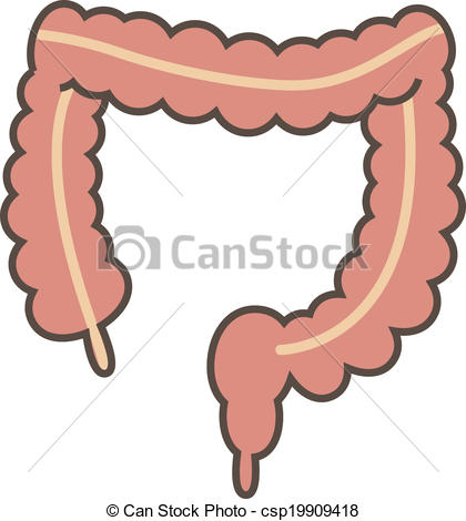 large intestine Vector Clip .