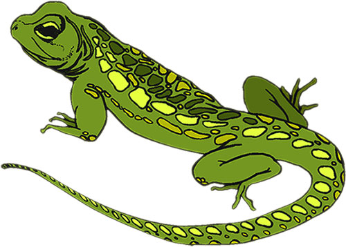 large lizard - Reptile Clip Art