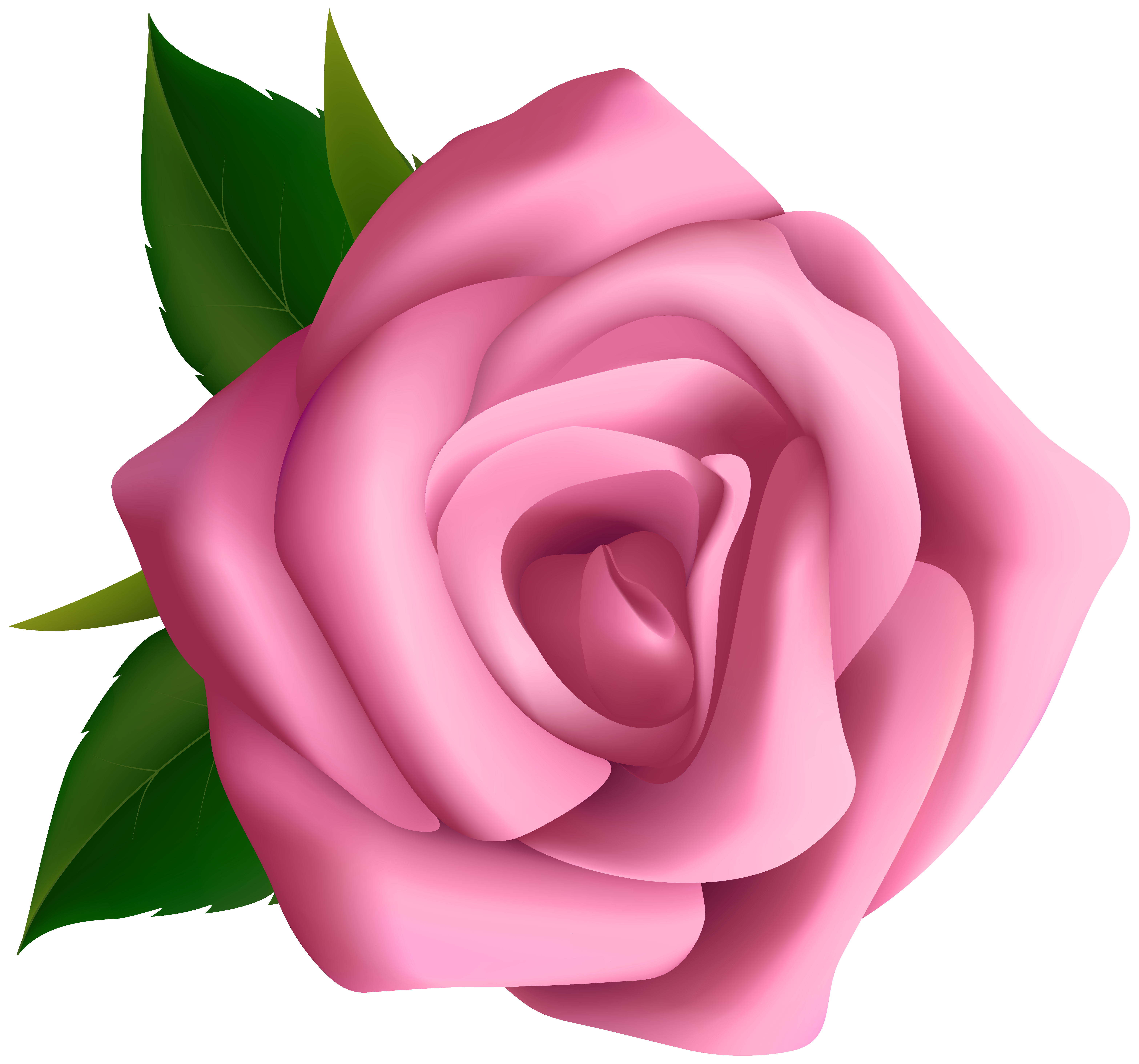 Large pink rose clipart blumen pink roses clip cliparting